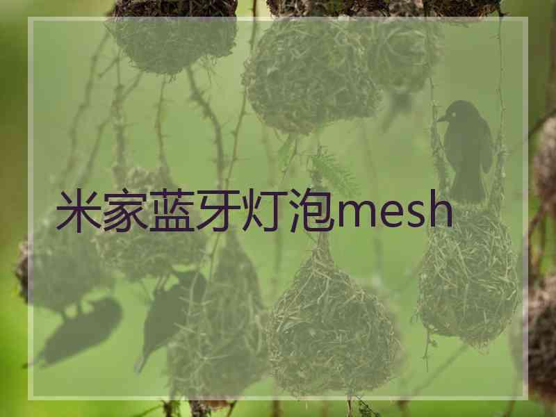 米家蓝牙灯泡mesh