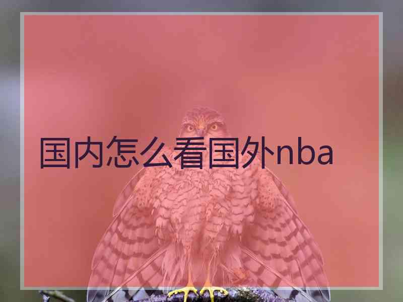 国内怎么看国外nba