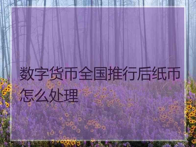 数字货币全国推行后纸币怎么处理