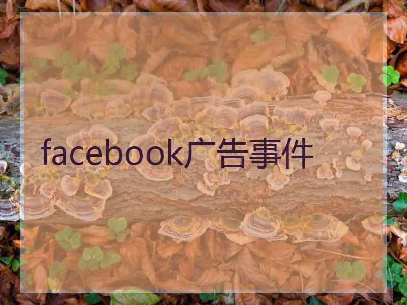 facebook广告事件