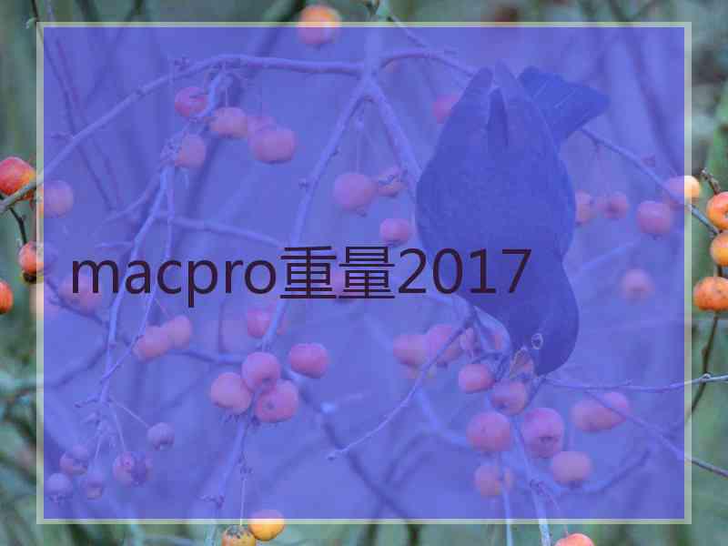 macpro重量2017