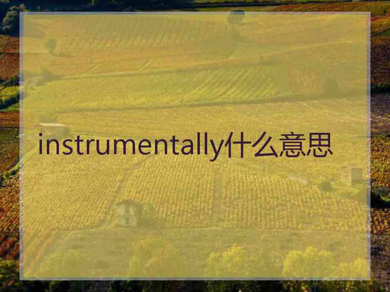 instrumentally什么意思