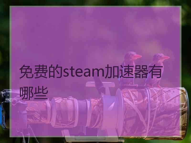 免费的steam加速器有哪些