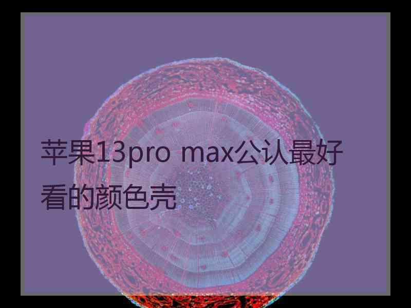 苹果13pro max公认最好看的颜色壳