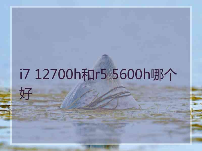 i7 12700h和r5 5600h哪个好