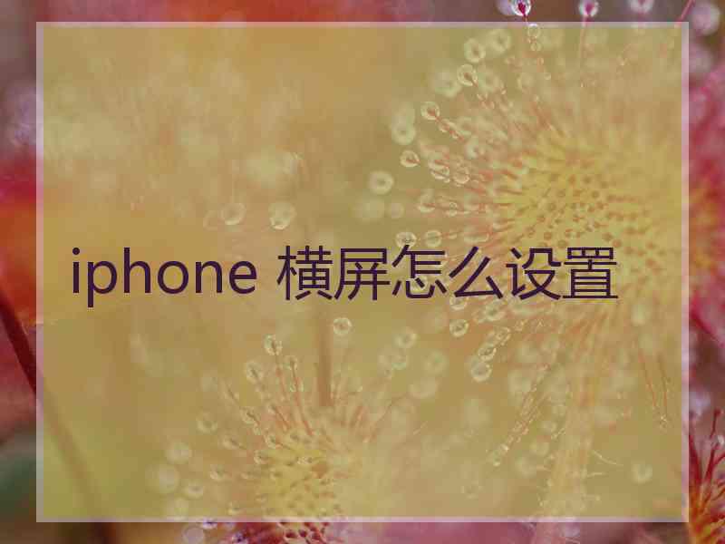 iphone 横屏怎么设置