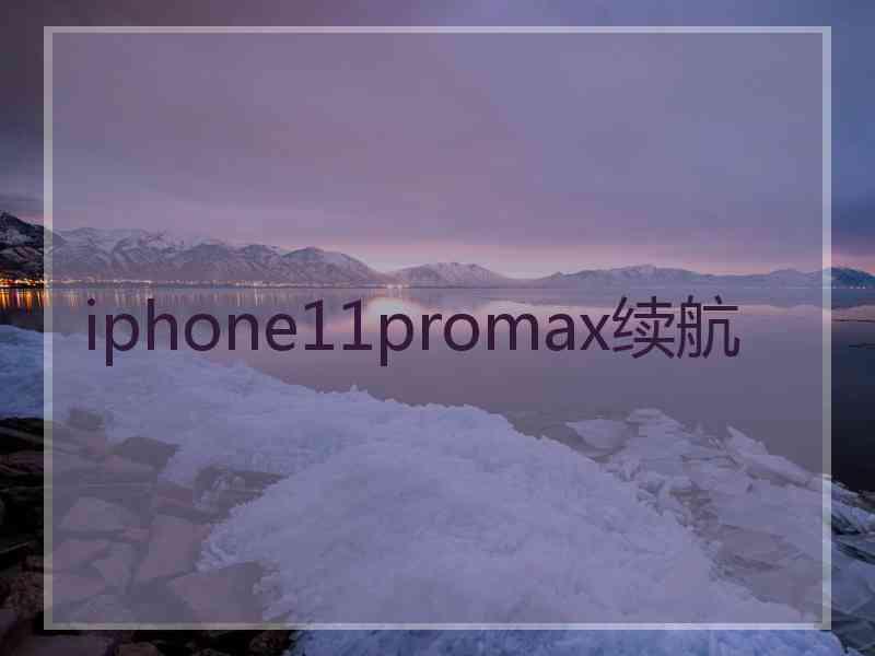 iphone11promax续航