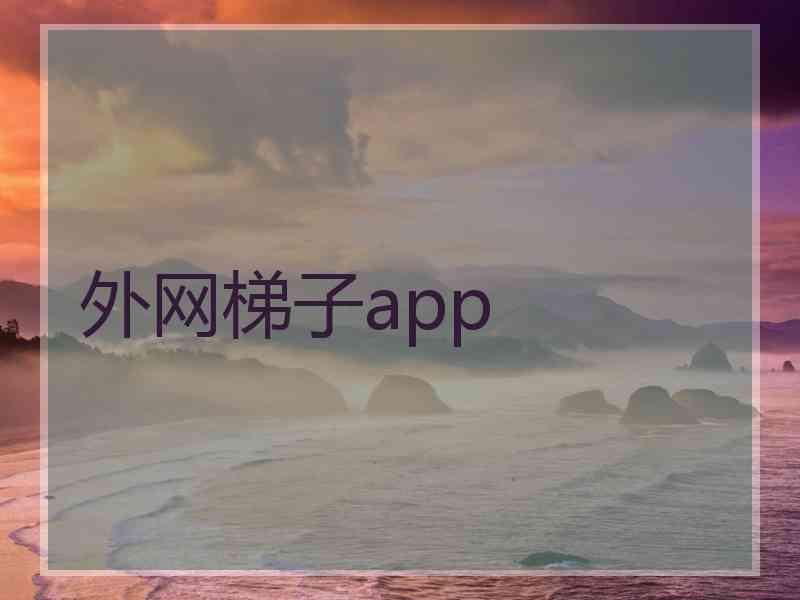 外网梯子app