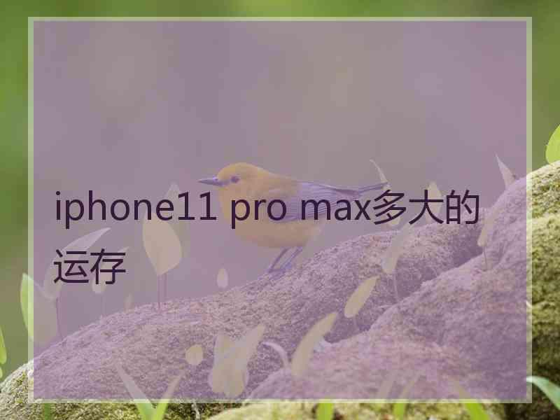 iphone11 pro max多大的运存