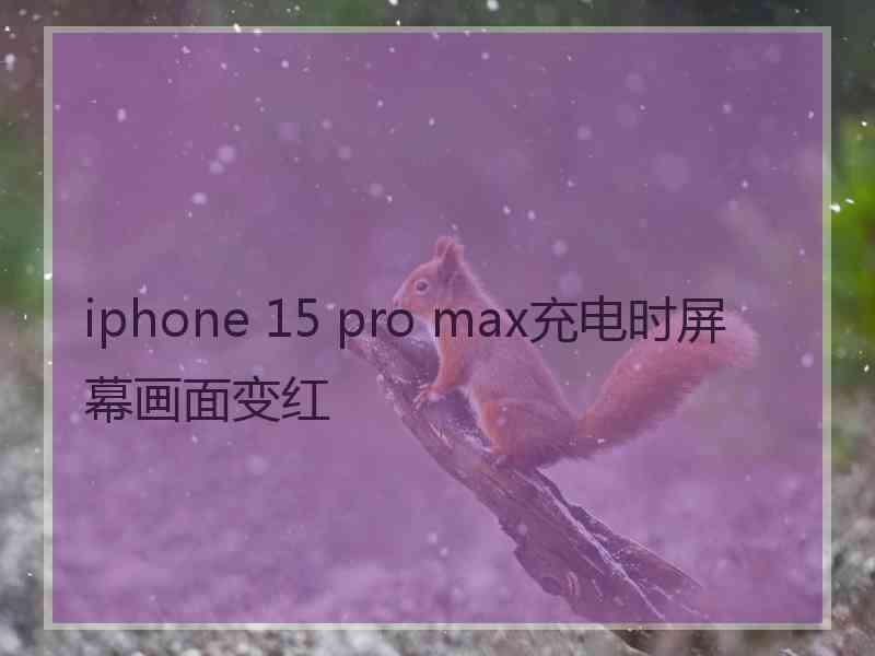 iphone 15 pro max充电时屏幕画面变红