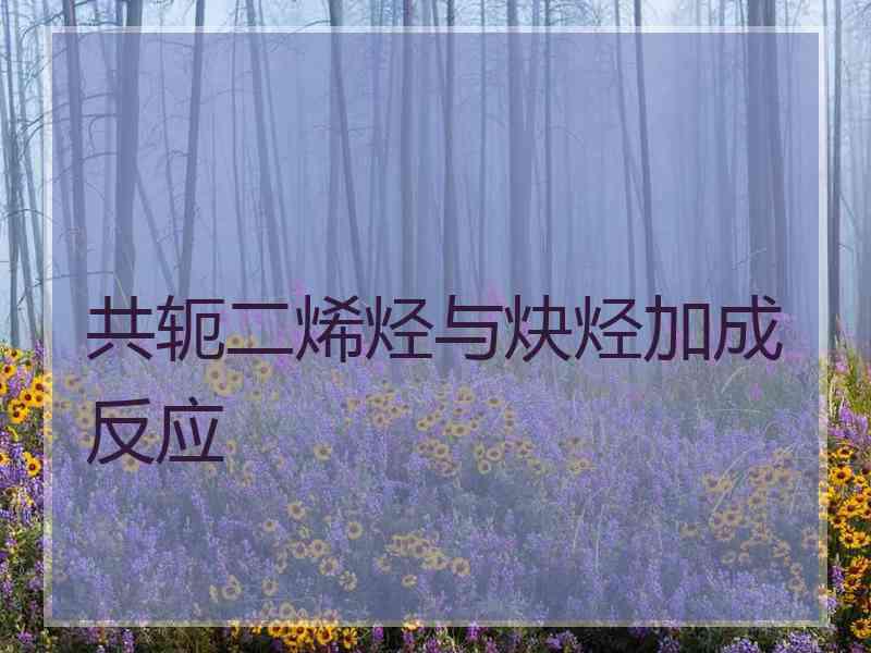 共轭二烯烃与炔烃加成反应