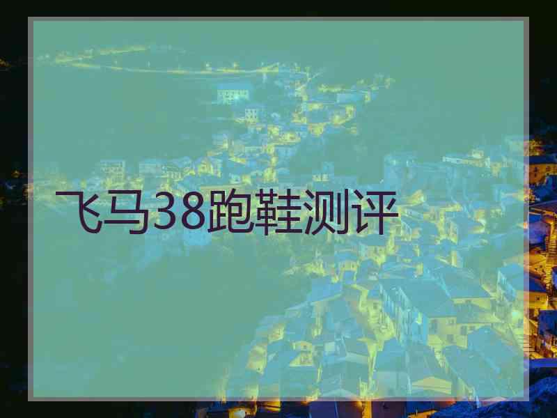 飞马38跑鞋测评