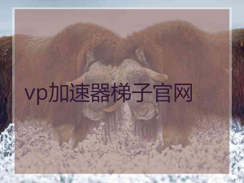 vp加速器梯子官网