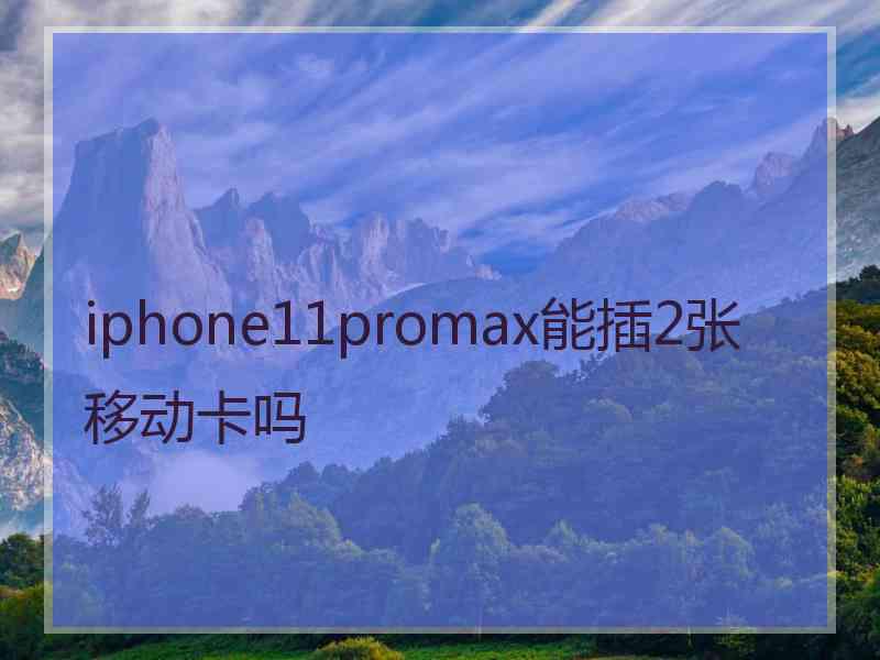 iphone11promax能插2张移动卡吗