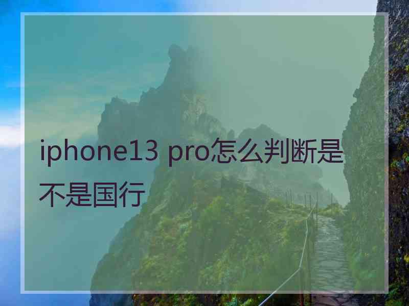 iphone13 pro怎么判断是不是国行