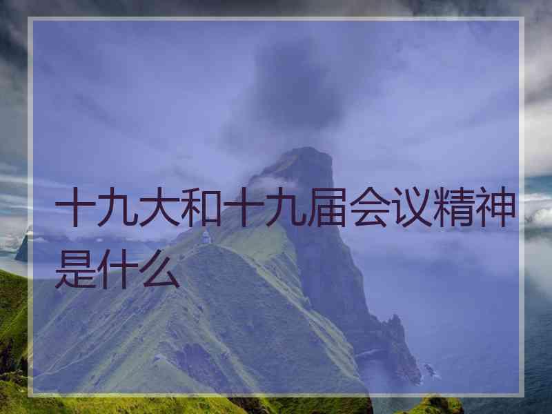 十九大和十九届会议精神是什么