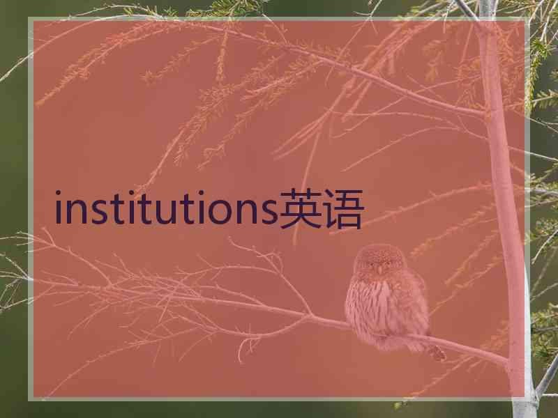 institutions英语