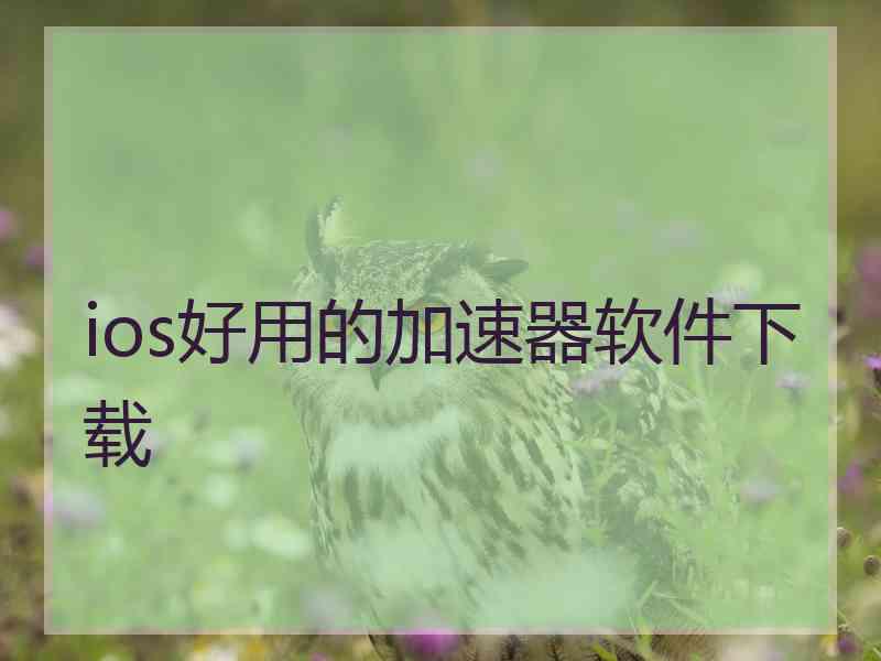 ios好用的加速器软件下载