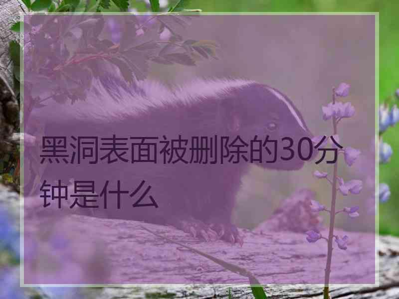 黑洞表面被删除的30分钟是什么