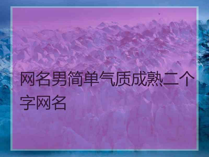 网名男简单气质成熟二个字网名