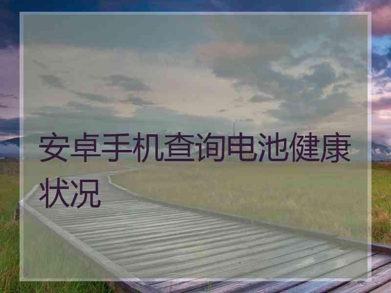 安卓手机查询电池健康状况