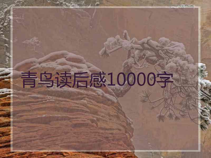 青鸟读后感10000字