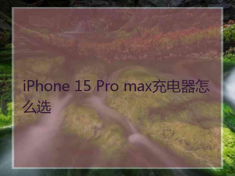 iPhone 15 Pro max充电器怎么选