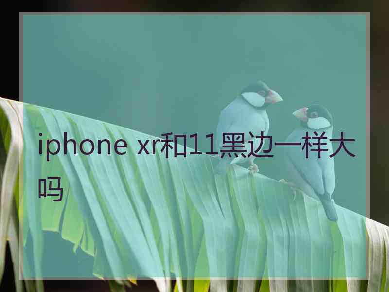 iphone xr和11黑边一样大吗