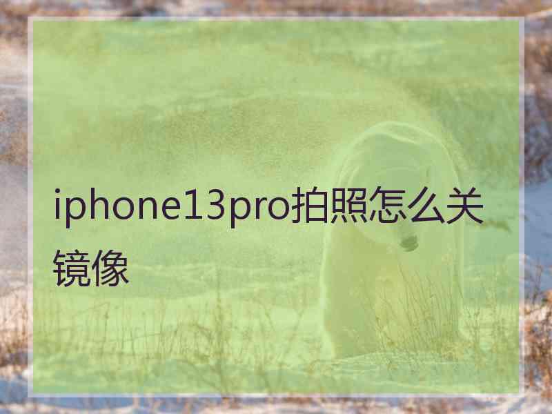 iphone13pro拍照怎么关镜像