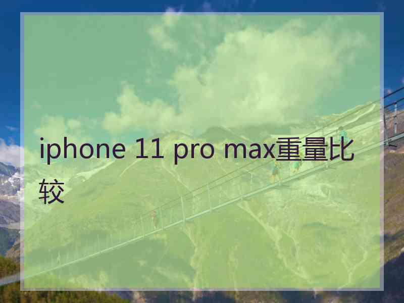 iphone 11 pro max重量比较