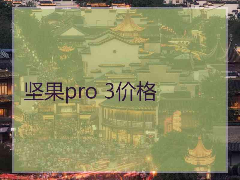 坚果pro 3价格