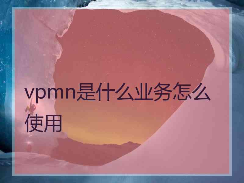 vpmn是什么业务怎么使用