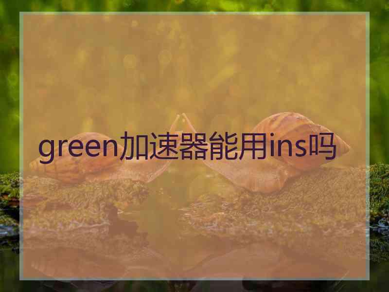 green加速器能用ins吗