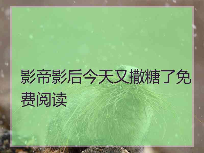 影帝影后今天又撒糖了免费阅读