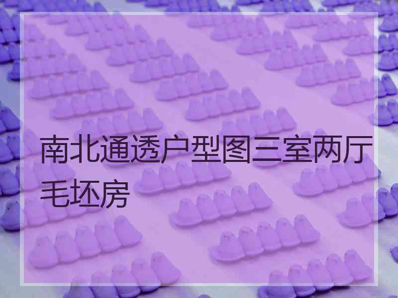 南北通透户型图三室两厅毛坯房