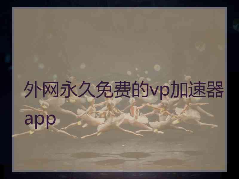 外网永久免费的vp加速器app