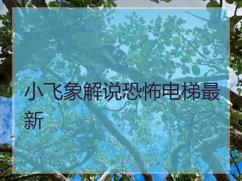 小飞象解说恐怖电梯最新