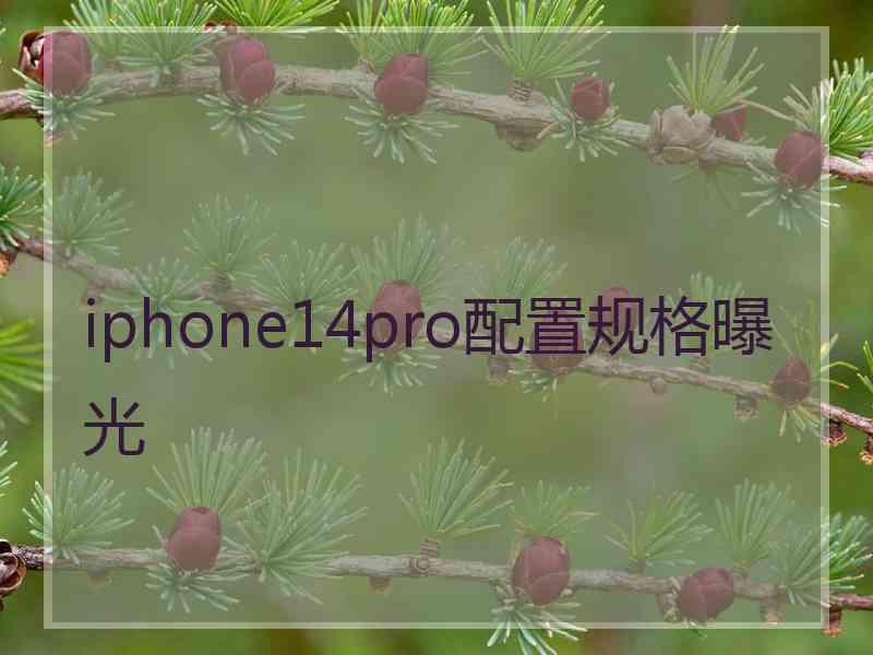 iphone14pro配置规格曝光