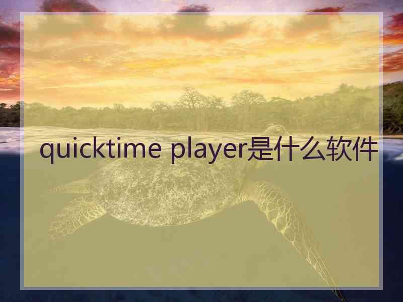 quicktime player是什么软件