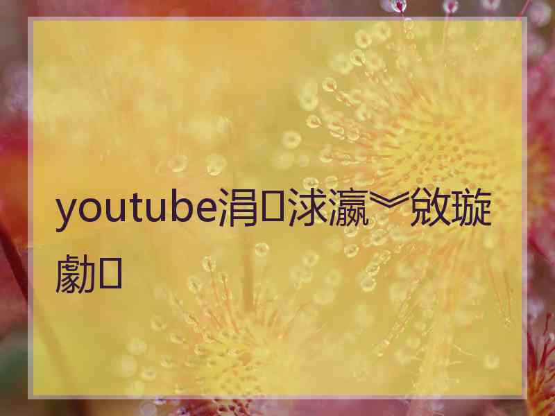 youtube涓浗瀛︾敓璇勮