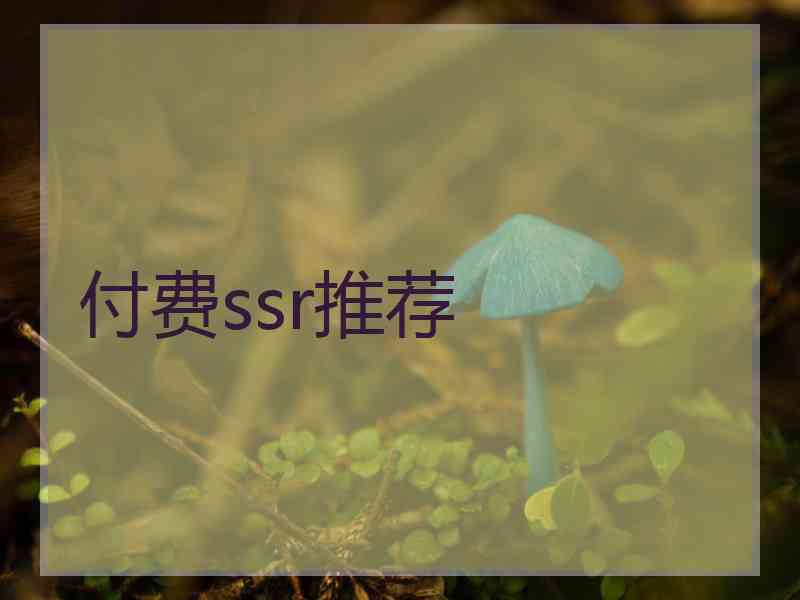 付费ssr推荐