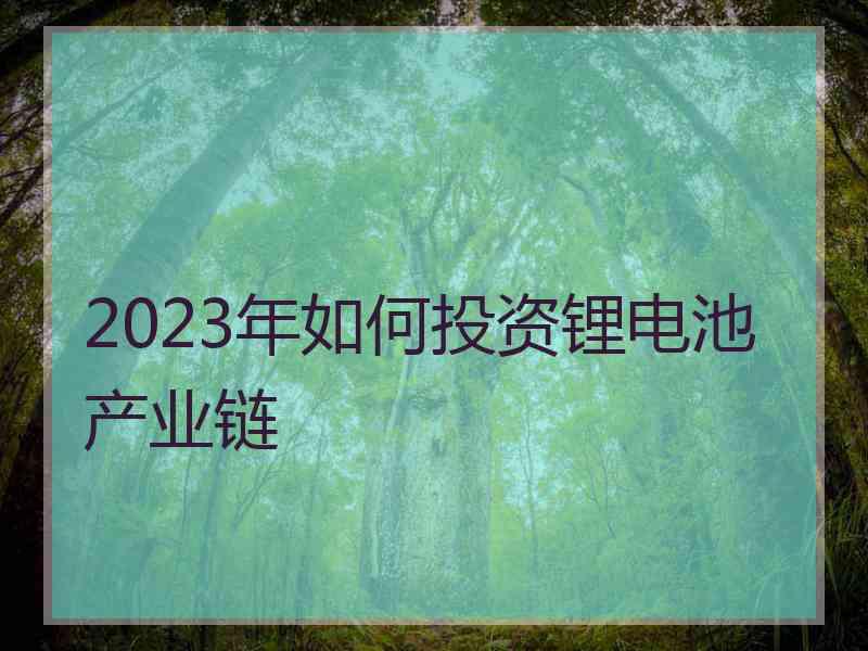 2023年如何投资锂电池产业链