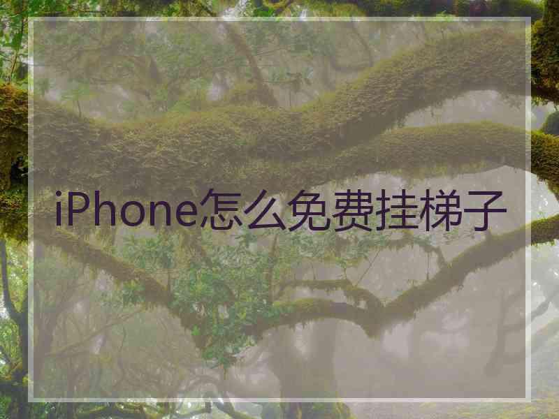 iPhone怎么免费挂梯子