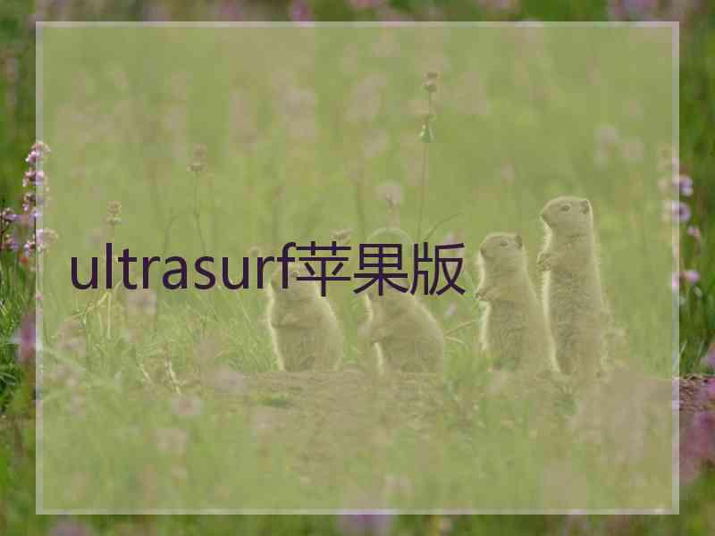 ultrasurf苹果版