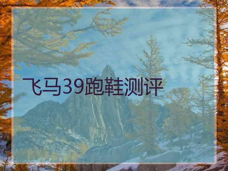 飞马39跑鞋测评