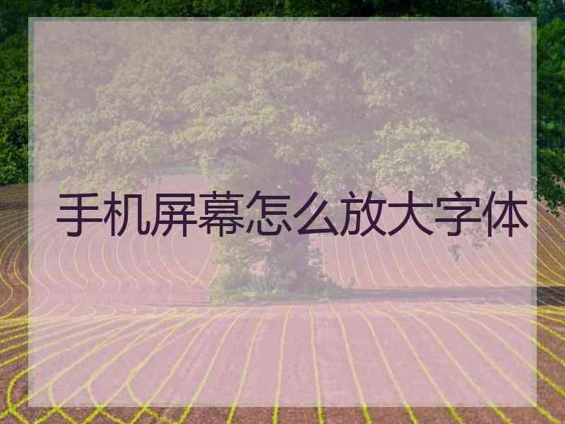 手机屏幕怎么放大字体