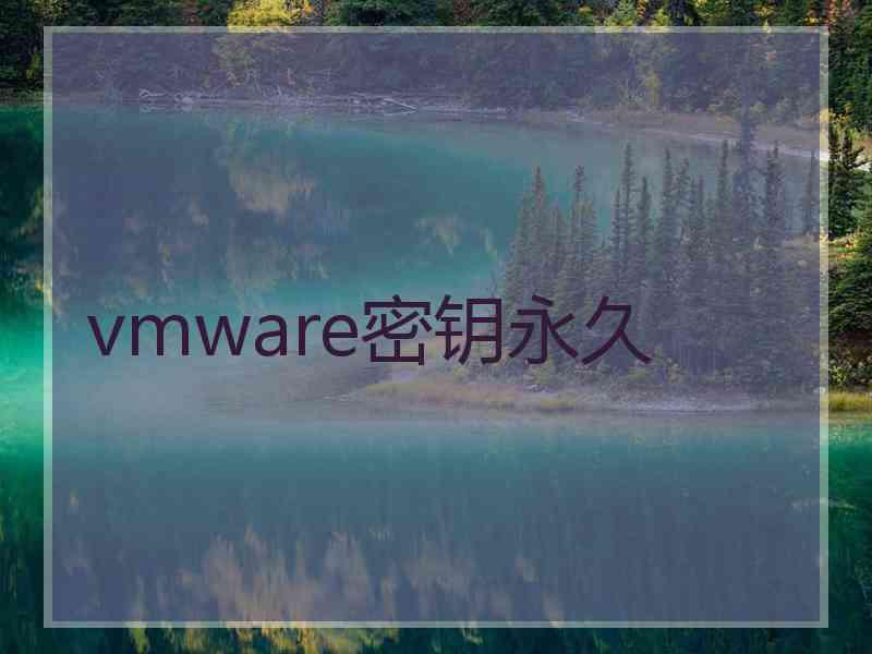 vmware密钥永久