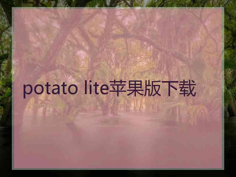 potato lite苹果版下载