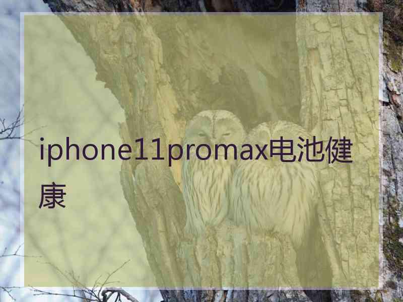 iphone11promax电池健康