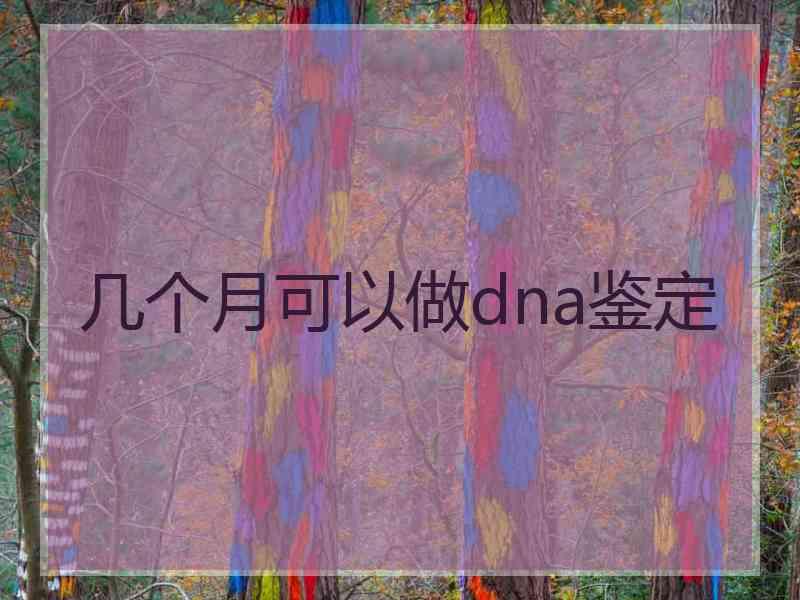 几个月可以做dna鉴定